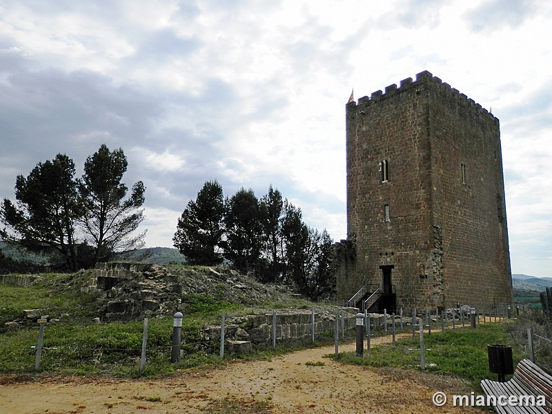 Imagen de Castillo de Navardún