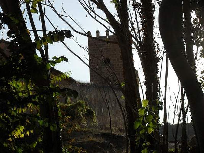 Castillo de Piedra Vieja