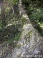 Monasterio de Piedra