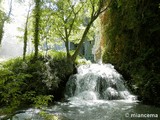 Monasterio de Piedra