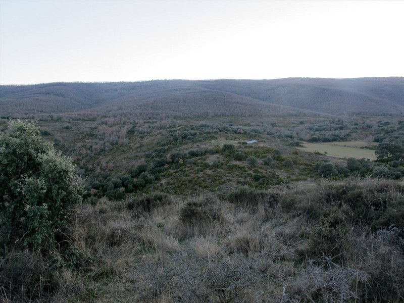 Castillo de Pintano