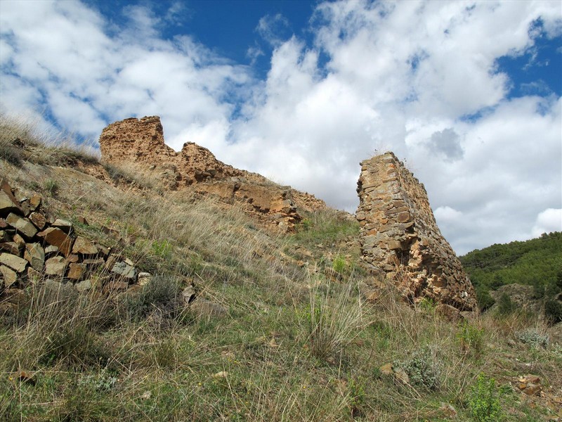 Castillo de Torrijo de la Cañada